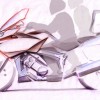 BMW Motorrad 6 цилиндоров2